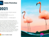 Phần mềm Photoshop 2021